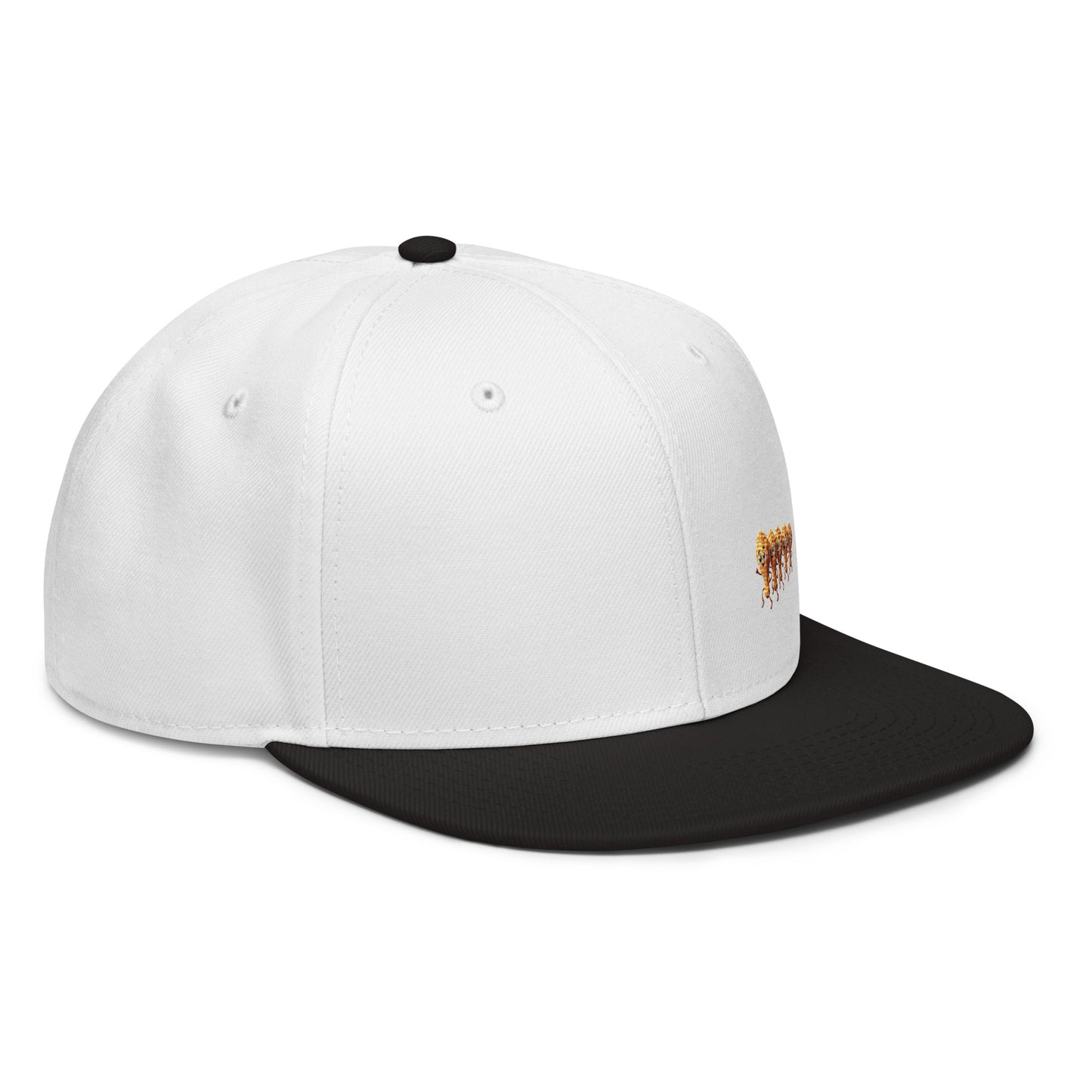 Snapback Hat