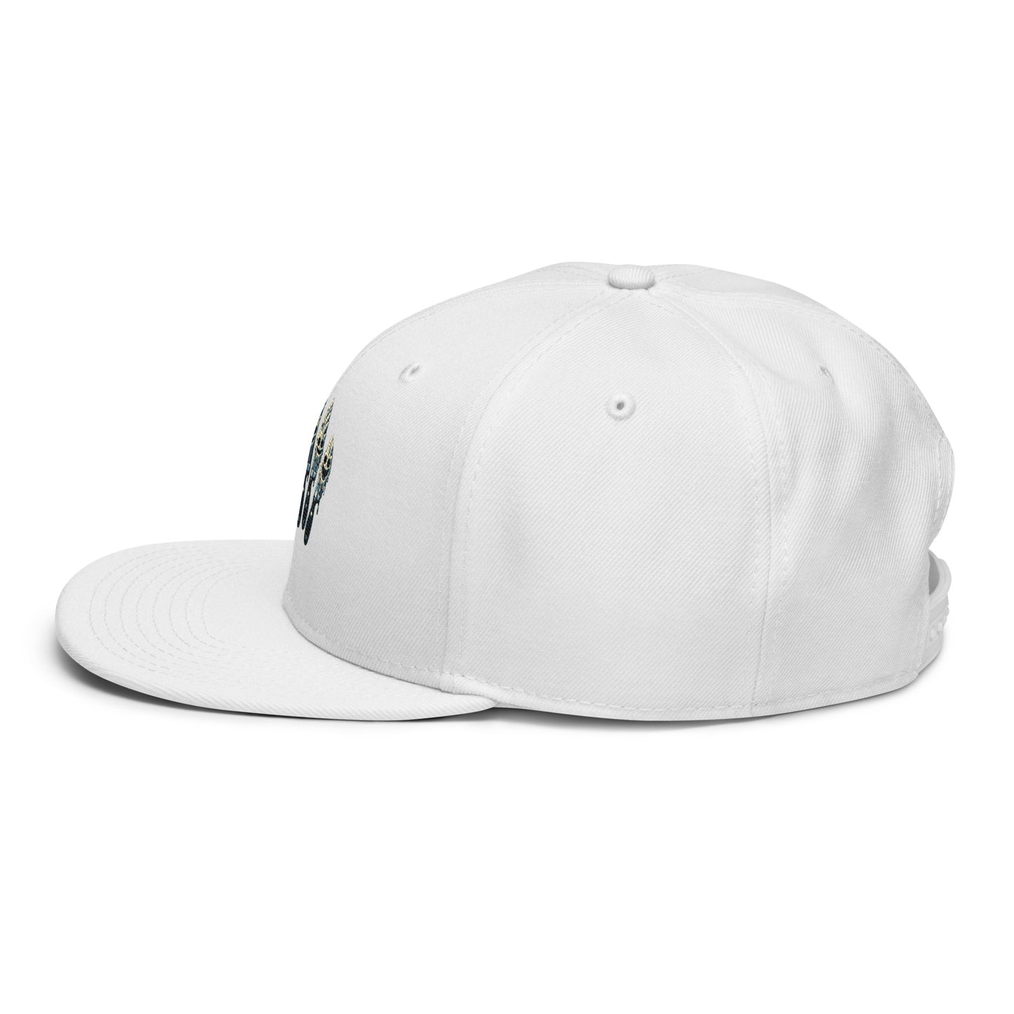Snapback Hat
